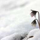 개미와베짱이 이미지