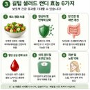 첨단기업로2L-8 | 길팁 샐러드 캔디 효능 성분 복용방법 먹는시간 혈당 당뇨 영향없나