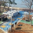 장경리해변 서울매일