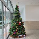 어진떡 | 국회의사당 맛집 - 어진 여의도점 재방문(평양 국밥, 사골 떡국, 소고기 수육)