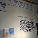 낭만 in 호스텔 | 이집트 여행 후기 2. 낮에는 다이빙, 저녁엔 도란도란! 다합 한인 숙소 &lt;써니하우스&gt;
