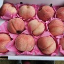 참 감사한 복숭 한상자 이미지