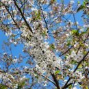 힐링(만인산) 이미지