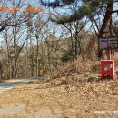 알미목장 이미지