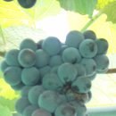 농기계공작실 이미지