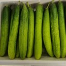 순애농장 이미지