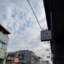 미듬케이크