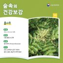 건강보감 이미지