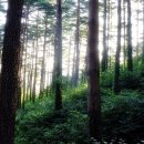 아름다운２１세기 이미지
