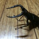 주빈농장 이미지