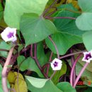 구실농장 이미지