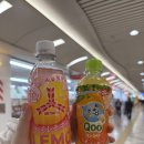 황금당 | [워홀일기] 난바 다이소 털기! 벚꽃 시즌 한정 사쿠라 레모네이드, 설탕 뽑기 맛 사탕 황금당 후기