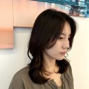 정자역미용실 아이엠헤어 분당레이어드펌 만족 후기