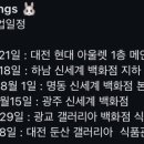 바니윙스