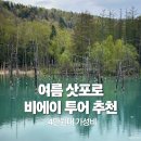 저팬로드투어 | 삿포로 여름 비에이 가성비 4만원대 버스투어 비오는날 후기 준페이 청의호수 라벤더