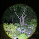 코만도 | 캠핑에 활용하기 좋은 밝은 LED 캠핑용 랜턴 코만도빔 사용 후기