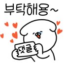 완도회타운 이미지