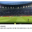 [런던 축구 여행] 토트넘 경기 직관 / 마이리얼트립 1층 하프라인 프리미엄석 예매 후기