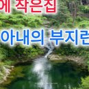 숲속에작은집 Daum카페