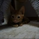 데일리 로그