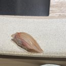 스시하로 이미지