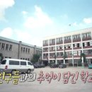 소화초 - 북구 고성로34길 89 | 소화초