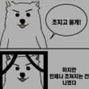 네시야 Daum카페