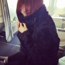 티파니&펫 이미지