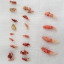 진천동물병원 이미지