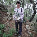 용문산약초 Daum카페