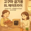 엽농장 | 보아르 듀얼히팅 에어프라이어 8L 후기｜가격 및 성능 할인 군고구마 맛집된 주방