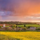 영국목장 이미지