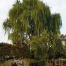 나무고아원입구 이미지