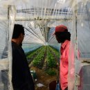 이광석농장 이미지