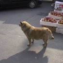 굴다리 PC 이미지