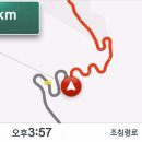 세솔팬션 이미지