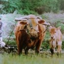 내마음의여행 이미지