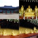 순천-13호 이미지