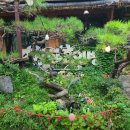 피자성 효인방 이미지