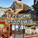 칸나화장실 | 후쿠오카 아프리칸사파리 오픈런 예매 티켓가격 다이나믹했던 정글버스 후기