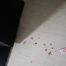 군산 지곡동 치킨집 다사랑치킨에서 후라이드 반마리(뼈) 포장 후기