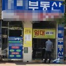 해운대강남부동산중개 이미지