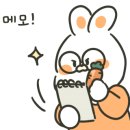 바름만두