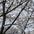 물결공원 화장실 이미지