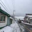 함백산 민박 이미지