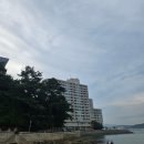 바다종합식품 | 통영 금호통영마리나리조트 오션뷰 가성비 숙소 스위트디럭스 객실 내돈내산 후기