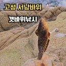 갯바위펜션 | 강원도 고성 낚시포인트 서낭바위 갯바위 낚시하기 좋은 곳