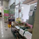 다은이네마켓
