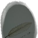 세밀화 그리기 이미지