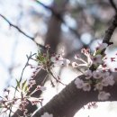 북면바로내작은도서관 이미지